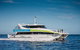 Whale-Watching Cruise And Hillarys Boat Harbour Day Trip From Perth - thumb 1