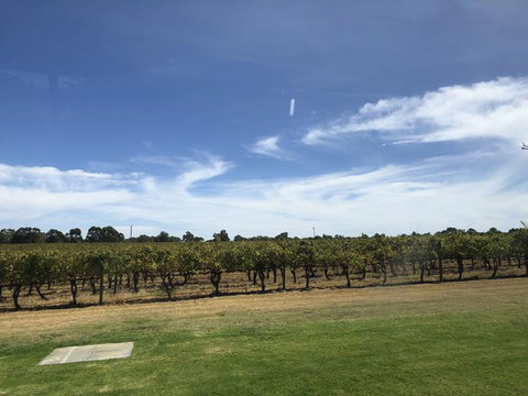 Swan Valley River Cruise And Wine Tasting Day Trip From Perth - Find Attractions 10