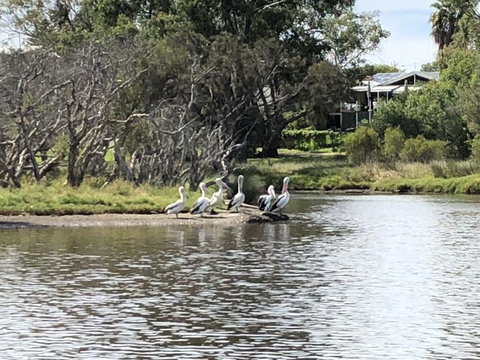 Swan Valley River Cruise And Wine Tasting Day Trip From Perth - Find Attractions 3