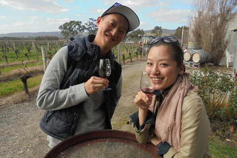 Swan Valley River Cruise And Wine Tasting Day Trip From Perth - Find Attractions 17