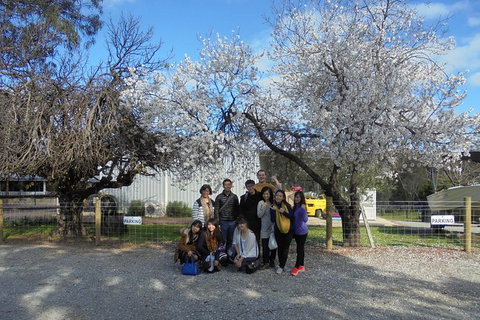 Swan Valley River Cruise And Wine Tasting Day Trip From Perth - Find Attractions 15