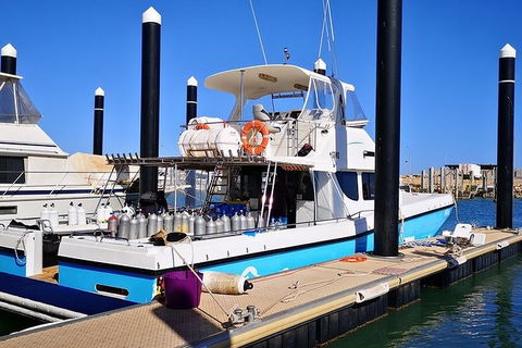 Muiron Island Dive & Snorkel Tour - Find Attractions 7