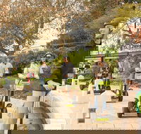 Perth East Foreshore and City Segway Tour