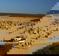 1-Day Pinnacles and Yanchep Tour from Perth including Fish and Chips Lunch