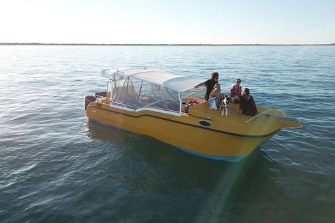 Turtle Tours On The Ningaloo Reef, Exmouth. 1/2 Day Cruise. - Find Attractions 8