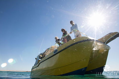Turtle Tours On The Ningaloo Reef, Exmouth. 1/2 Day Cruise. - Find Attractions 7