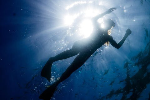 Ningaloo Reef Or Muiron Islands Snorkeling And Wildlife Adventure - Find Attractions 6