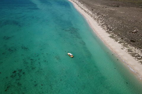 Ningaloo Reef Or Muiron Islands Snorkeling And Wildlife Adventure - Find Attractions 10