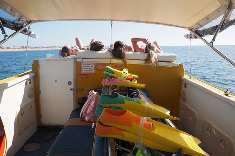 Ningaloo Reef Or Muiron Islands Snorkeling And Wildlife Adventure - Find Attractions 11