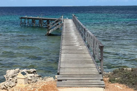 Abrolhos Flyover With Morning Tea On East Wallaby Island - Find Attractions 1