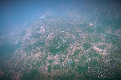 Guided Jet Ski And Snorkel Tour From Exmouth - Find Attractions 1