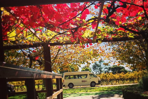 Ultimate Swan Valley Food And Wine Day Trip From Perth - Find Attractions 12