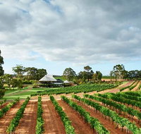 Vasse Felix Winery Tour and Tasting - Find Attractions