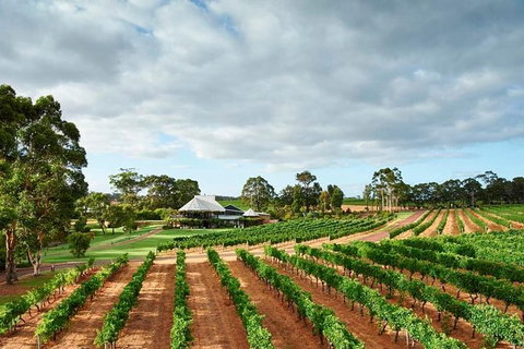 Vasse Felix Winery Tour And Tasting - Find Attractions 0