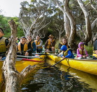 Margaret River Canoe Tour Including Lunch - Find Attractions