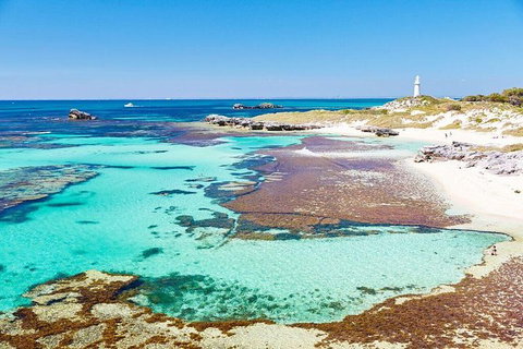 Rottnest Island Bayseeker Day Trip From Fremantle - Find Attractions 2