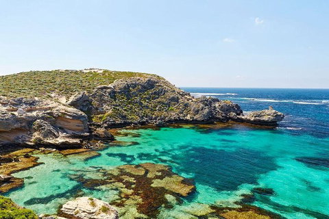 Rottnest Island Bayseeker Day Trip From Fremantle - Find Attractions 3
