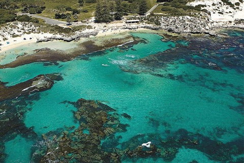 Rottnest Island Bayseeker Day Trip From Fremantle - Find Attractions 4