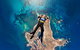 Rottnest Island Skydive Including Round Trip Ferry From Fremantle - thumb 5