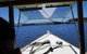 Cruise On The Swan River In A Solar Electric Ferry - thumb 4