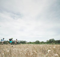 Electric Bike Winery and Brewery Tour - Find Attractions