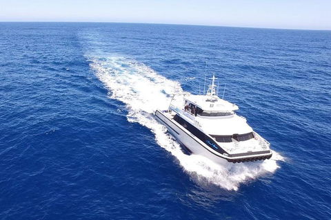 Augusta Whale Watching Eco Tour - Find Attractions 8