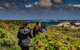 Guided Walks On The Cape To Cape - Wilyabrup Cliffs - thumb 0