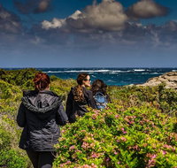 Guided Walks on the Cape to Cape - Wilyabrup Cliffs - Find Attractions