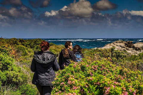 Guided Walks On The Cape To Cape - Wilyabrup Cliffs - Find Attractions 0