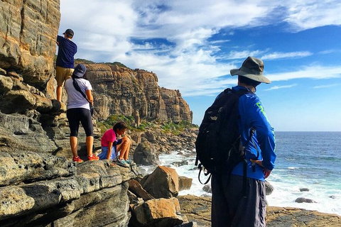 Guided Walks On The Cape To Cape - Wilyabrup Cliffs - Find Attractions 5