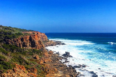 Guided Walks On The Cape To Cape - Wilyabrup Cliffs - Find Attractions 2