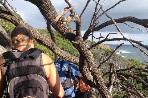Guided Walks On The Cape To Cape - Wilyabrup Cliffs - Find Attractions 6