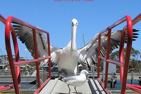 Albany Wildlife And Scenic Cruise - Find Attractions 0