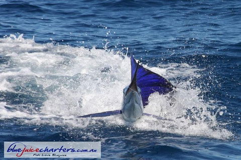 Montebello Island Fishing Charters - Find Attractions 6