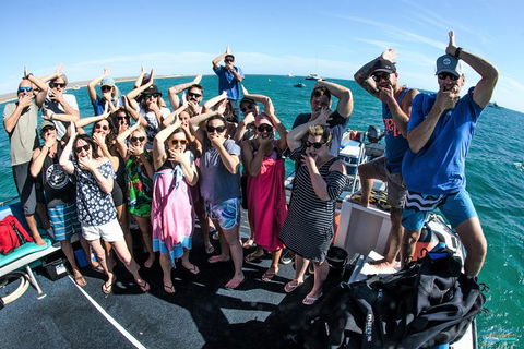 Humpback Whale Swim Ningaloo Reef - Find Attractions 6