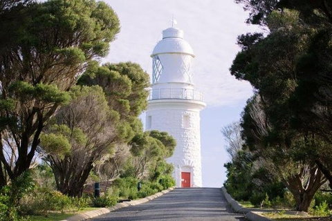 South Of The River Wine Tour In Margaret River - Find Attractions 0