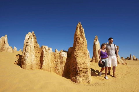 Half Day Pinnacles Sunset Tour - Find Attractions 7