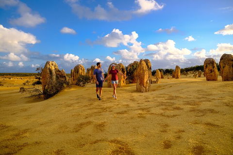 Half Day Pinnacles Sunset Tour - Find Attractions 3