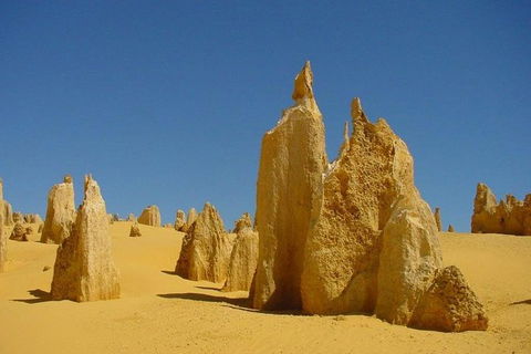 Half Day Pinnacles Sunset Tour - Find Attractions 5