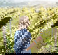 5 Hours Wineries Coffee Tasting Forest  Lunch at the Berry Farm - Find Attractions