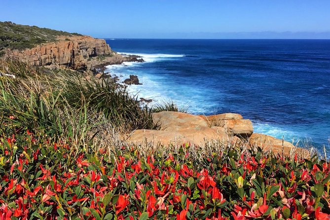 Cape to Cape End-to-End 8 Day Walking Experience Fremantle