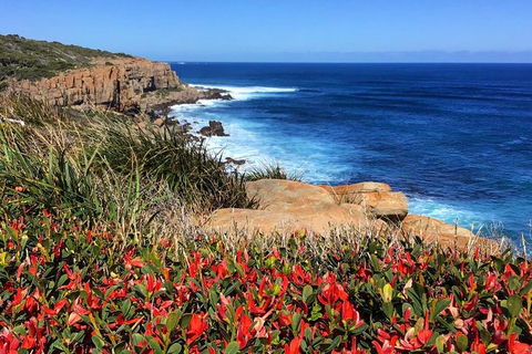Cape To Cape End-to-End 8 Day Walking Experience - Find Attractions 0