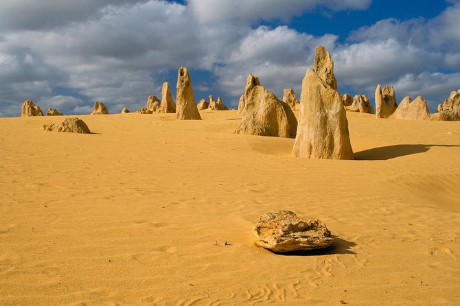 The Pinnacles Sea and Dunescapes Bush Reserve and Sunset Day Tour Perth
