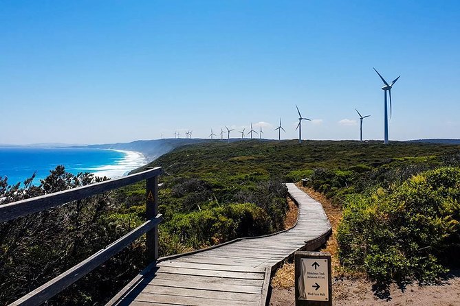 Torndirrup National Park and Bay Highlights Albany