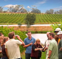 Yarra Valley Wine and Winery Tour from Melbourne