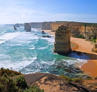 Great Ocean Road Small-Group Ecotour from Melbourne