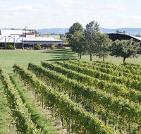 Puffing Billy Train and Yarra Valley Food and Wine Day Trip from Melbourne