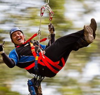 12 Apostles and Otway Fly Zipline Day Trip from Melbourne