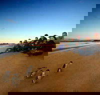 Phillip Island Ultimate Penguin Eco Tour or Skybox Experience - Find Attractions