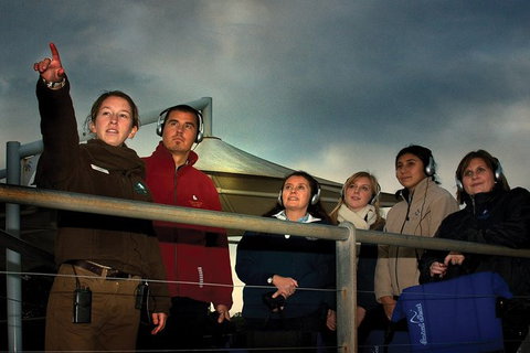 Phillip Island Penguin Parade Express Tour From Melbourne - Find Attractions 4